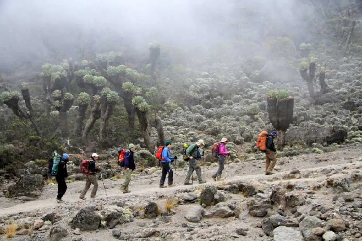 Hiking and trekking in Tanzania mountains