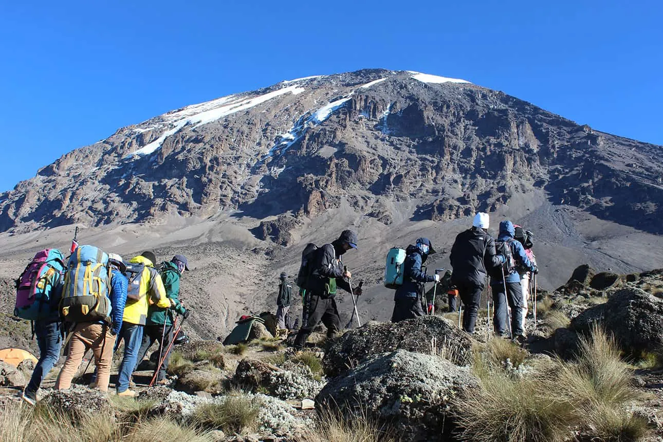 Mount Kilimanjaro trekking expedition