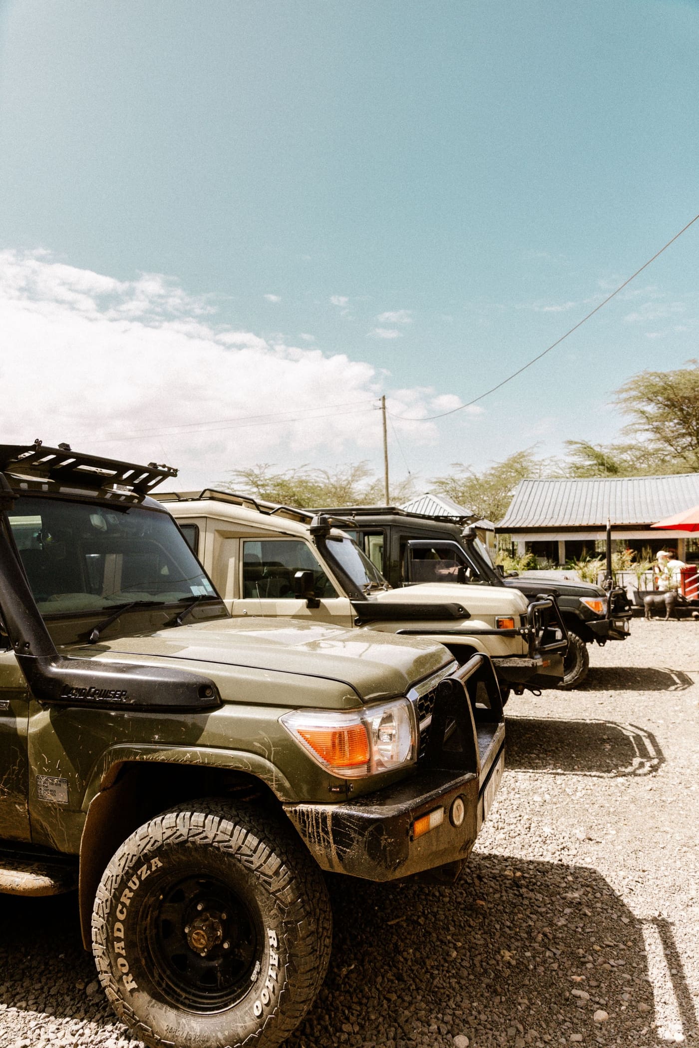 Wild Gaze Safaris car rental fleet