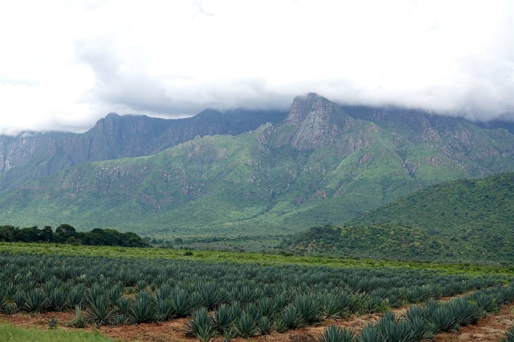 Irente Viewpoint, Usambara Mountains