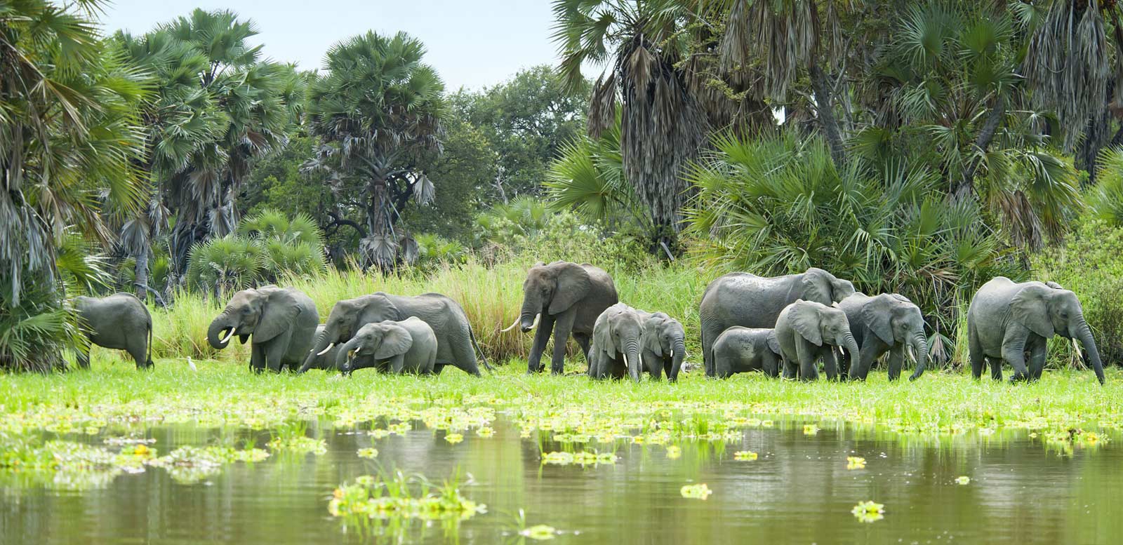 selous-game-reserve-wild-geza-safaris-tanzania