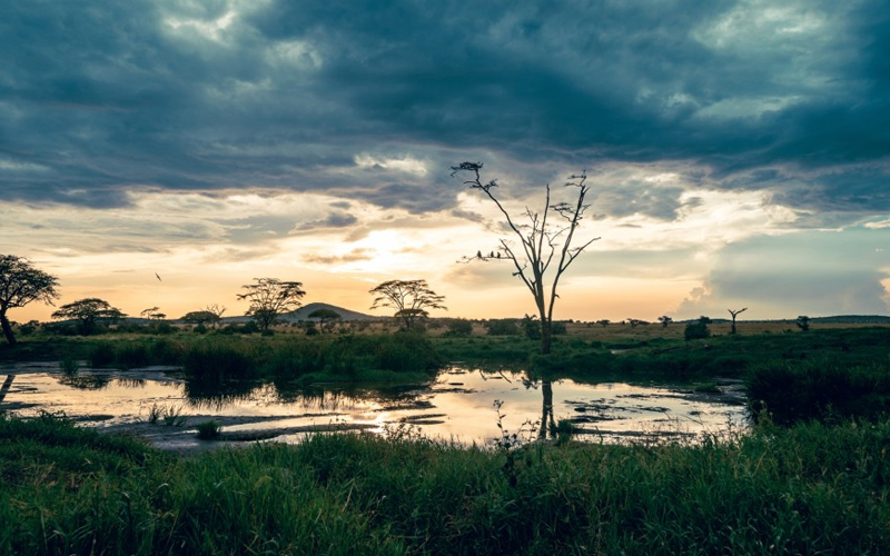 Embrace the Rain: Tanzania Wet Season Safari