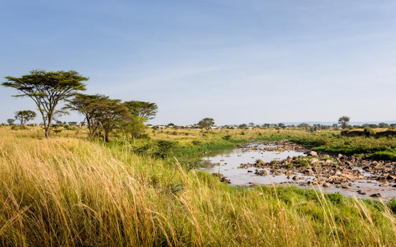 Embrace the Rain: Tanzania Wet Season Safari - Wild Geza Safaris Tanzania