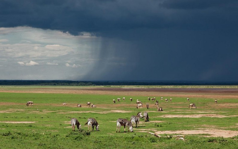 Embrace the Rain Tanzania Wet Season Safari