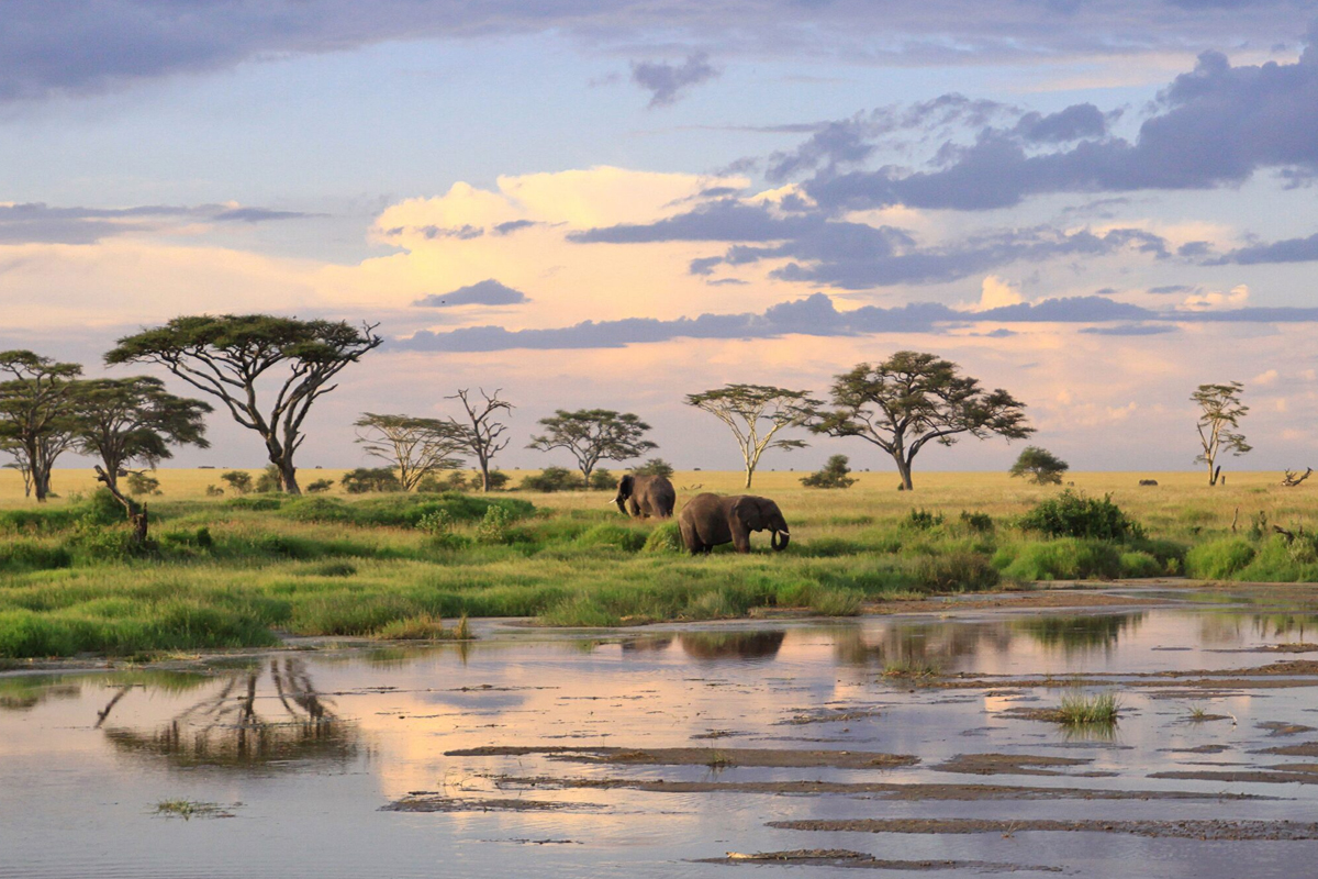 Embrace the Rain Tanzania Wet Season Safari