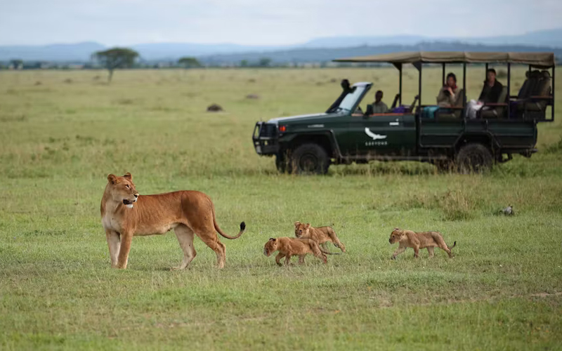 Embrace the Rain: Tanzania Wet Season Safari