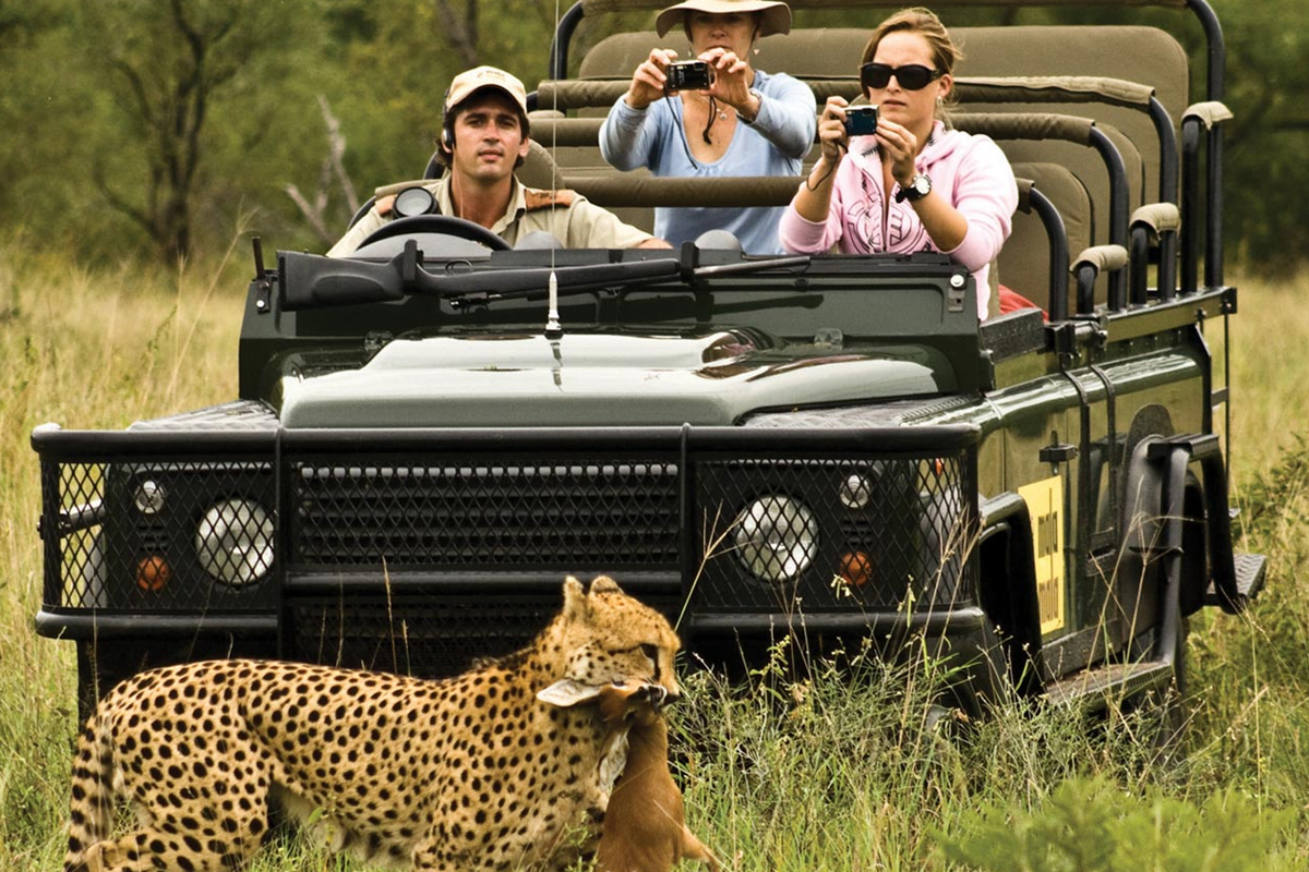 Experience the Thrill of a Game Drive Safari