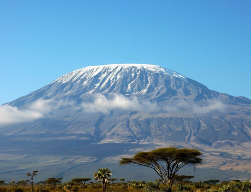 Cultural Experiences on a Kilimanjaro Climb