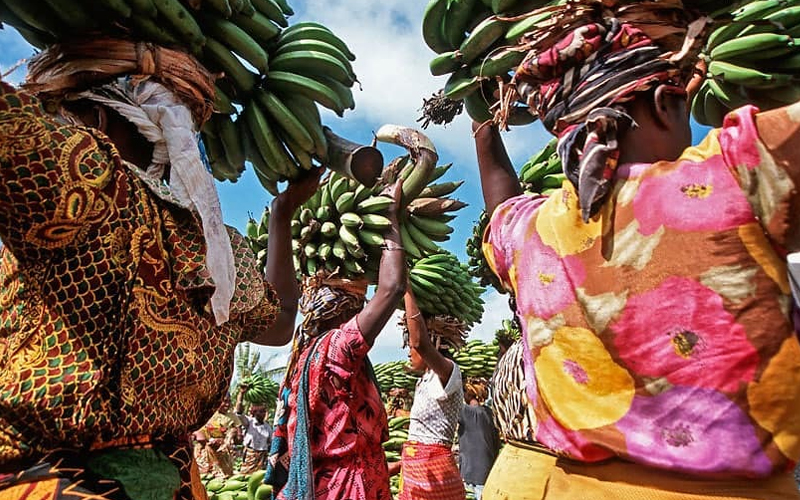 Cultural Experiences on a Kilimanjaro Climb