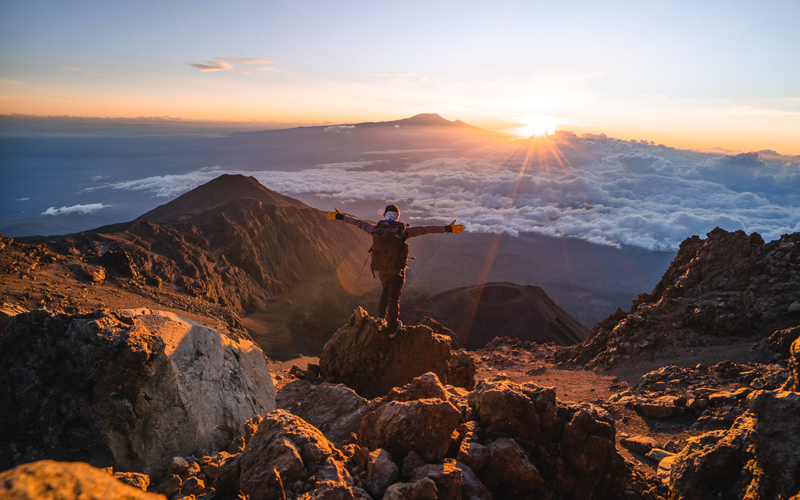 Wildlife Encounters on Mount Kilimanjaro