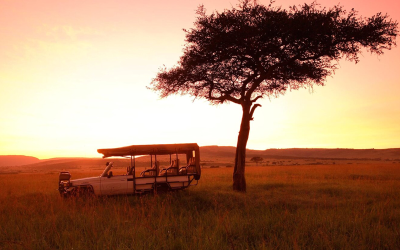 A Day in the Life of a Tanzania Safari Guide