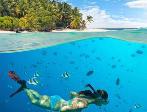 Best Beaches for Snorkeling in Tanzania