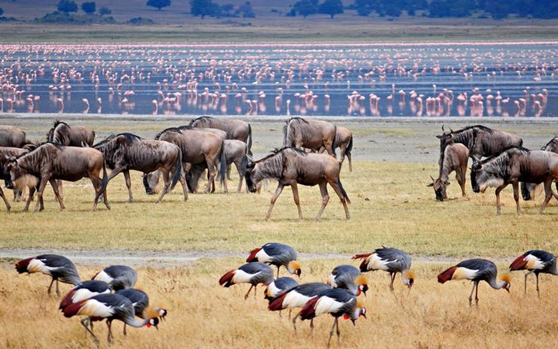 Exploring Lake Manyara National Park