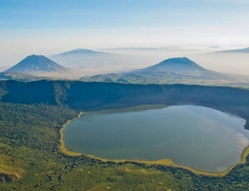 Ngorongoro Crater Records