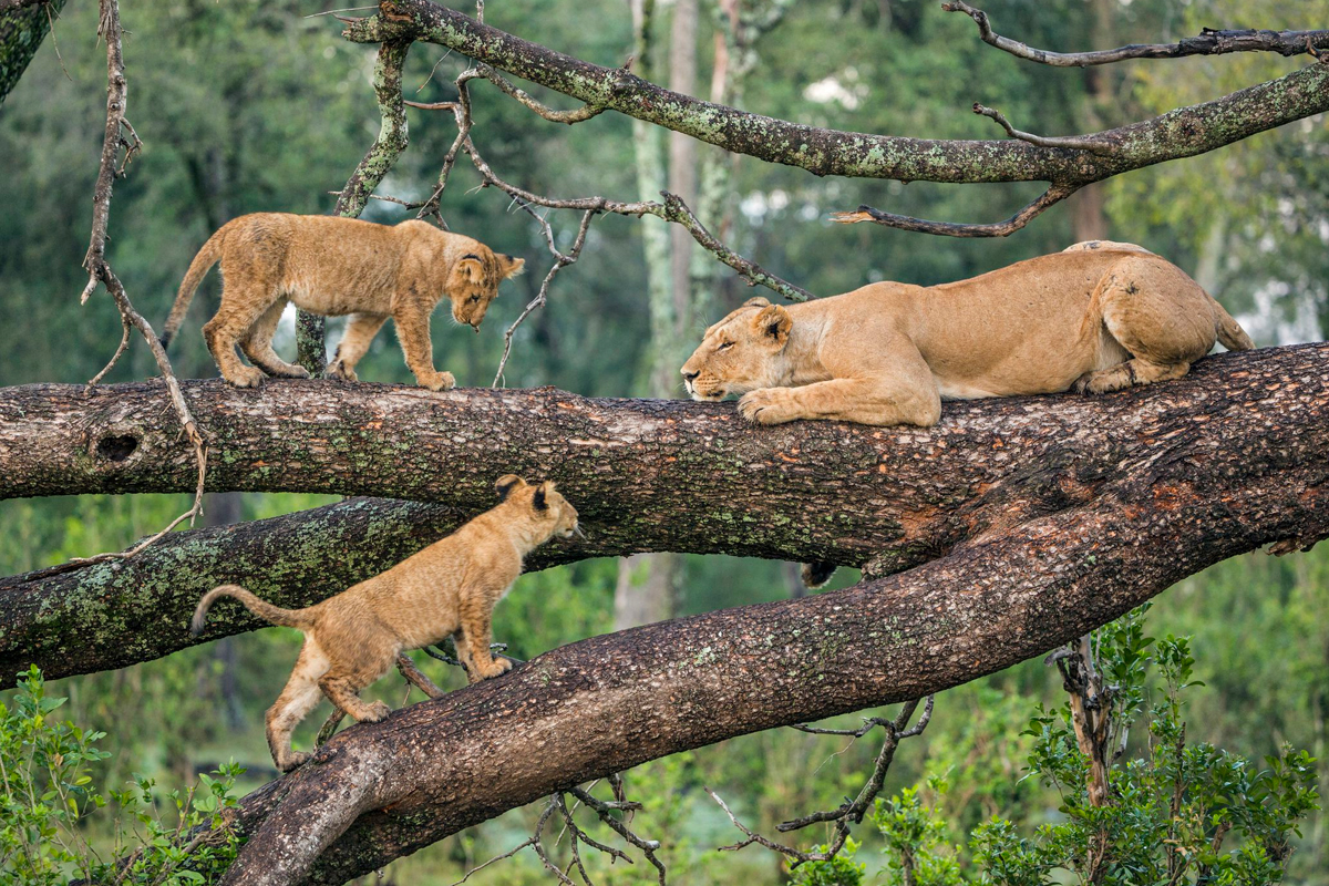 lake manyara national park