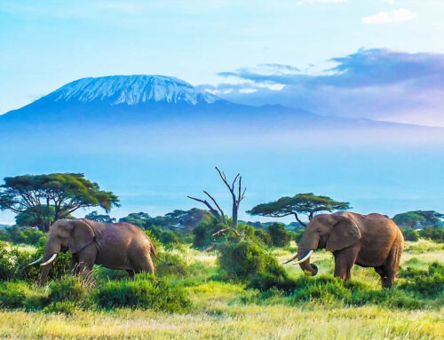 Family safari lodges in Tanzania