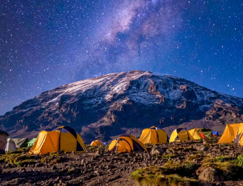 Kilimanjaro New Year’s Eve Summit