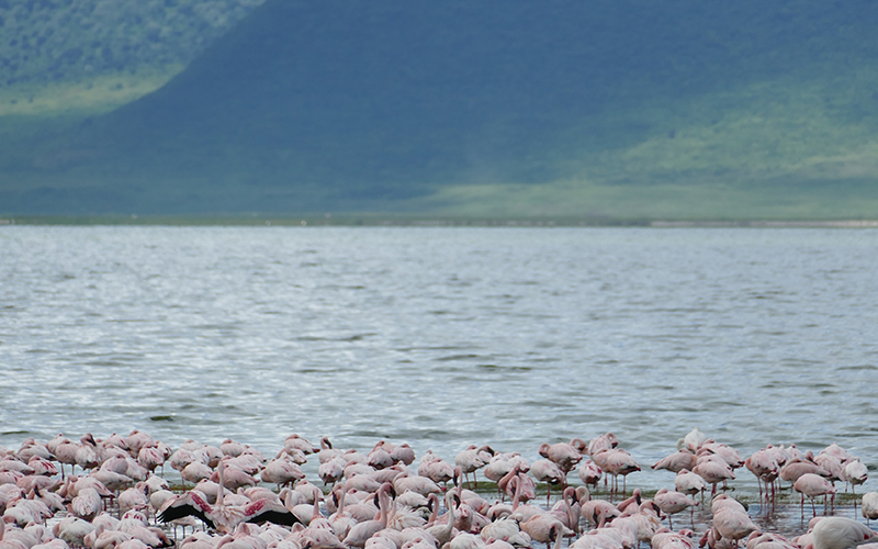 Top Activities to Experience in Ngorongoro Crater 2024