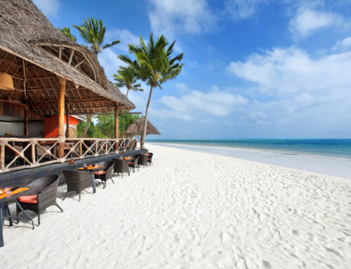 Zanzibar Beach and Safari Combination Holiday